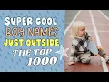 Download Lagu COOL BABY NAMES JUST OUTSIDE THE TOP 1000 IN 2023 FOR BOYS! Baby Name Ideas for Boy