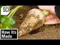 Download Lagu How It's Made: Beet Sugar