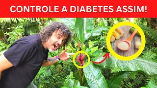 7 TRUQUES NATURAIS PARA DIMINUIR O AÇÚCAR NO SANGUE QUE AS FÁRMACIAS ODIARIAM QUE VOCÊ SOUBESSE