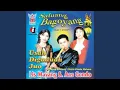 Download Lagu Usah Digaduah Juo