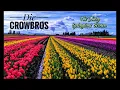 Die CrowBros - Ein bisschen Aroma (Roger Whittaker) COVER