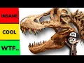 Ranking The Most Insane Dinosaur Fossils