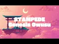 Genesis Owusu - STAMPEDE - Lyrics