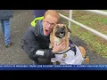 CBS2 s John Elliott Joins Alzheimer s NJ Walk