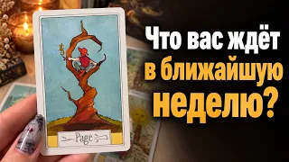 Что вас ждёт в ближайшую НЕДЕЛЮ? Гадание Tarot cards расклад 