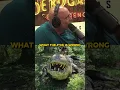 Download Lagu The OLDEST Crocodile 🐊🤯
