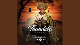 wangshela wazi