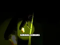 Download Lagu KUNANG-KUNANG || FIREFLY || BUG #shorts #animals #bug