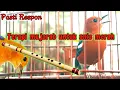 Download Lagu ANIS MERAH NGEPLONG plus suara NRATAK dan seruling sunda, TERAPI ANIS MERAH BIAR BUNYI