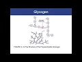 261 Organic Macromolecules
