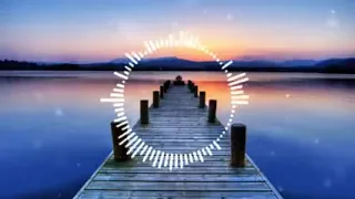                ياغالي انشغل بالي  دندنها