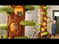 Download Lagu We bought our cats a GIANT TREE *Their Reaction*