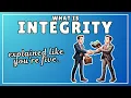 What is Integrity Explained in 2 Minutes