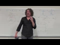Category Theory II 6 2 Free-Forgetful Adjunction Monads from Adjunctions