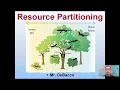 Resource Partitioning