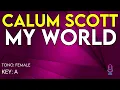 Download Lagu Calum Scott - My World - Karaoke Instrumental - Female