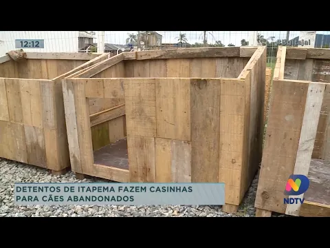 Detentos de Itapema fazem casinhas para cães abandonados