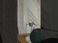 Download Lagu Imam of Umar Bin Khattab Mosque in Morocco died while delivering a sermon