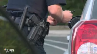Austin police chief on gun sales