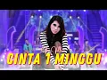 Download Lagu Karaoke - Cinta 1 Minggu - Via Vallen (Official Video Karaoke ANEKA SAFARI)
