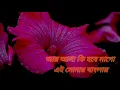 Download Lagu Aar asa ki hobe mago ei sonar banglai # Reverb song