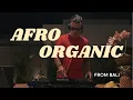 Download Lagu Afro Organic Melodic House Set from Bali | Live DJ Mix by Mio