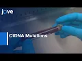CtDNA Mutations Detection by Next Generation Sequencing NGS Protocol