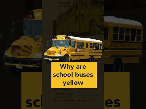 Why school buses are yellow #buses #school #history #design