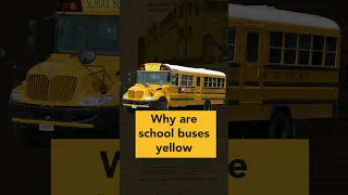 Why school buses are yellow #buses #school #history #design