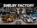 I Never Knew I Wanted A Shelby Until Now