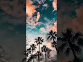 Zen-G & bayhan -istanbul(bass)