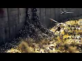 Download Lagu Zombies namen de wereld over - maar hij ontdekte hun fatale zwakte! | Samenvatting van World War Z