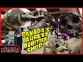 TOURING THE LARGEST ODDITIES SHOP IN CANADA Complete SHOP and MUSEUM tour