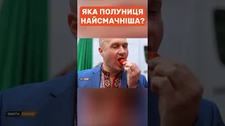 Де росте найсмачніша полуниця 