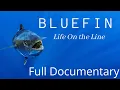 Lagu Life On The Line  - The amazing true story of the Southern Bluefin Tuna