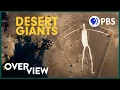 Who Made These Giant Desert Figures and WHY