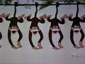 Swing Monkey Swing 1937 MeTV airing