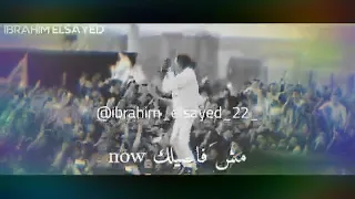 حلات وتس مروان بابلو 