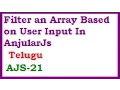 Filter an Array Based on User Input In AnjularJs Telugu-vlr training