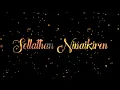 Download Lagu Sollathan Ninaikiren(lyrics video song)| #Tamilzeromusic|#SollathanNinaikiren