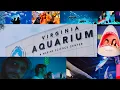 Virginia Aquarium Marine Science Center Amazing Family Adventure with Kids Virginia Beach 4K