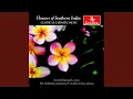 Download Lagu Thillana - Desh - Aadhi