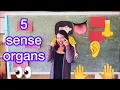 Five Sense Organs Demo Teaching