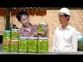 Download Lagu long business trip: Will missing Tu Diem make CEO Toan trade everything?