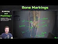 Major Bone Markings - Anatomy and Physiology 1