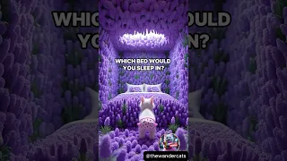 Which Bed Would You Like To Sleep In Help The Kitten Catstory Kitten Animation Cartoon 