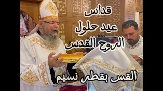 قداس عيد حلول الروح القدس عيد العنصرة القس بقطر نسيم 