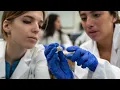 New Cognitive Science Minor at USD