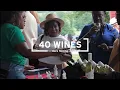 Linganore Winecellars Autumn Reggae Wine Music Festival 2025 Recap