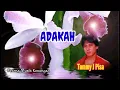 Lagu Tommy J Pisa | ADAKAH | Lirik